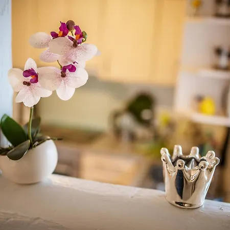 Wilhelm 100qm Im Zentrum Nähe Tripsdrill Brackenheim